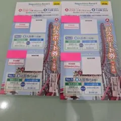ナガシマスパーランド パスポート券 2枚セット 【即日発送】 2026