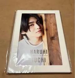 井内悠陽　カレンダー　チェキ風プロマイド３枚付き 井内悠陽 カレンダー チェキ風ブロマイド 井内悠陽カレンダー