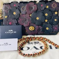 希少✨COACH ディンキー ティーローズ チェーンショルダーバッグ 3way 2026年最新】コーチ ティーローズ ディンキーの人気アイテム - メルカリ