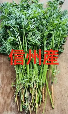 【信州産】にんじんの葉っぱ 間引きにんじん 人参 無農薬のサムネイル