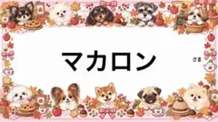 専用