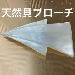 大ぶり貝ブローチ　シロチョウ貝（ホワイトパールの母貝）　真珠貝　個性的