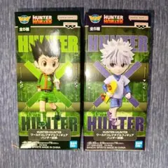 【2種セット】ハンター×ハンター　ワールドコレクタブルフィギュア　ハンター試験