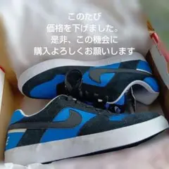 ナイキ SB スニーカー【美品】