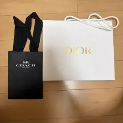 Dior coach ショッパー
