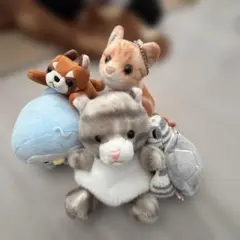 AMUFUN 忠犬もちしば＆もふもふシベリアンハスキー ぬいぐるみ 2点