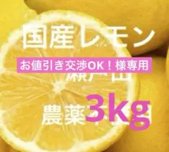 お値引き交渉OK！様専用レモン3kg