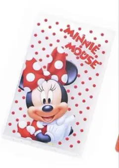 【Disney】ミニー シークレット ミラー ミニサイズ