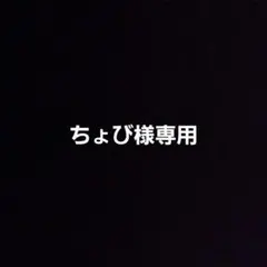 ちょび様専用