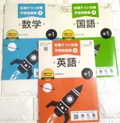 2026年最新】ポピー中学生の人気アイテム - メルカリ