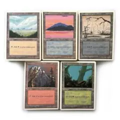 4ED 基本土地 英語約50枚 基本地形 第4版 旧枠 人気絵柄 まとめ売りのサムネイル