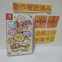 ［即日発送］ げっし～ず がじがじなかまをそだてよう switch スイッチ