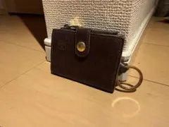 SALE品‼️またまた出ました！いるビゾンテ！