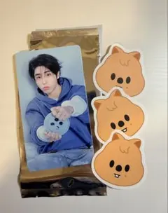 straykids スキズ 6期 ペンミ 特典 トレカ スペシャル ハン