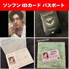 【ソンフン】THE SIN:VANISH (IDカード パスポート トレカ)