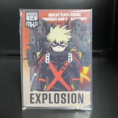 ヒロアカ 一番くじ キャラクターグッズ