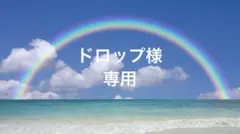 ドロップ様専用ページ
