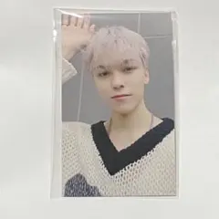 FML 東京ドーム バーノン ユニバ 会場限定 SEVENTEEN