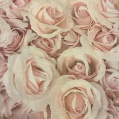 Item thumbnail for item 2dae2f7b-0955-4cea-bba4-49018c010c0a