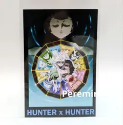 海外限定 ハンターハンター ブロマイド フォト