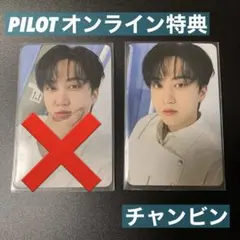 【PILOT ペンミ オンライン特典】straykids チャンビン