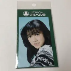 中森明菜　カードケース　ブロマイドケース　プロマイドケース 2025年最新】中森明菜プロマイドの人気アイテム - メルカリ