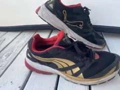 Puma プーマ ランニングシューズ SLX ライジン V2 28,5cm