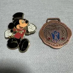 ディズニー ピンバッジ ミッキー タワーオブテラー ミラコスタ