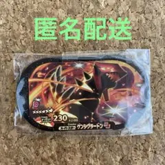 ポケットモンスター ポケモン メザスタ スーパースター ゲンシグラードン
