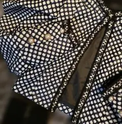 アリス&オリビア　ZARA　 エリザベッタフランキ　モスキーノ　パフスリーブのサムネイル