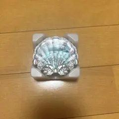 FlowerKnows シェルズジュエルコレクション サテンチーク 03