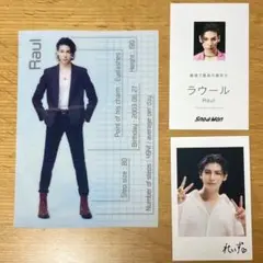 Snow Man ラウール 初回購入特典 カード