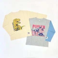 子供服 男の子 長袖Tシャツ まとめ売り 110cm 新品 恐竜 FWN127