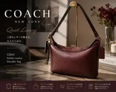 2026年最新】COACHワインレッドの人気アイテム - メルカリ