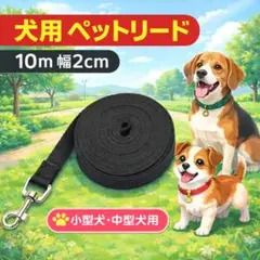 Item thumbnail for item 4e582197-7f19-4512-9672-4021462d5846