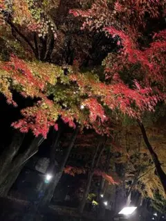 なむる様専用