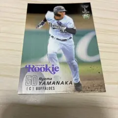 Item thumbnail for item 8346851d-6bb1-4103-9af2-0079ca417c62