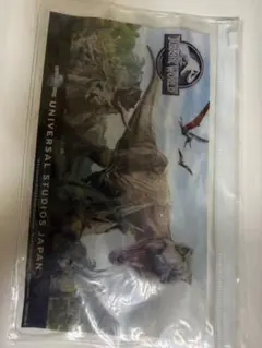 usj オリジナルチャックケース