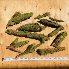 あきら様 リクエスト 2点 まとめ商品