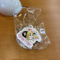 くら寿司　えびにゃん　mofusand