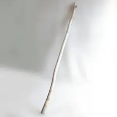 99cmロングサイズ枝流木 mc603 フォロワー割 即使用できる リクエスト可