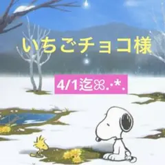 いちごチョコ様 専用ページ