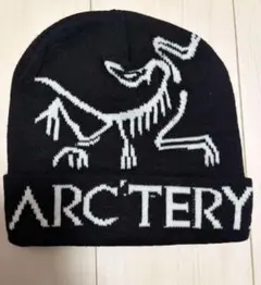 ビーニー　ニット帽　帽子　スケーター y2k グランジ