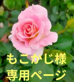 もこかじ様専用ページ