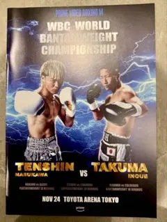 那須川天心クッション美品✨ 2025年最新】那須川天心の人気アイテム - メルカリ