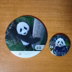 2026年最新】結浜の人気アイテム - メルカリ