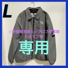 韓国限定　新品・未使用ノースフェイス ヴィラン　ブルゾン　グレー　L