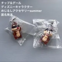 ディズニーキャラクター めじるしアクセサリー summer チップ ＆ デール