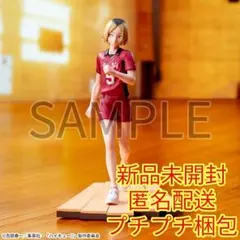 Item thumbnail for item 16995357-fbfe-4f48-a910-50cdc7d4b4c6