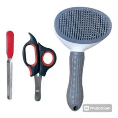 Item thumbnail for item f1191411-0faf-4f4c-b9f6-f2cceb7e6130